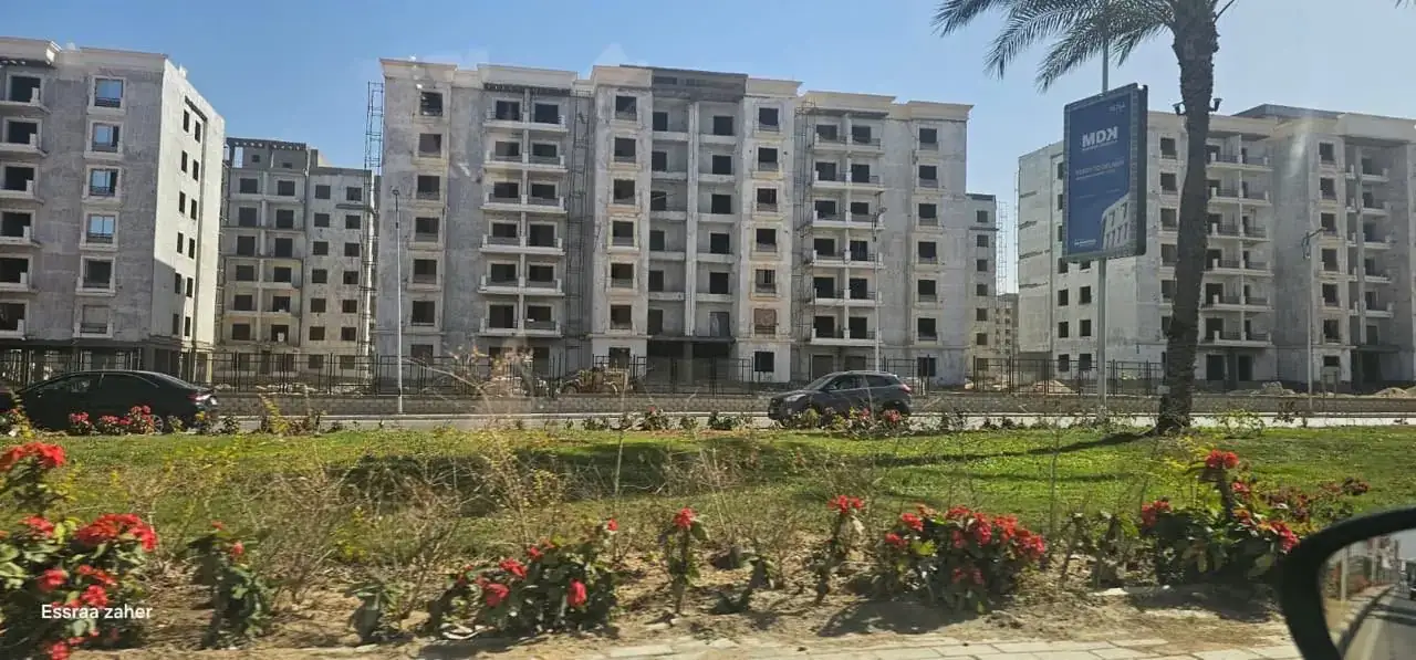مايان القاهرة الجديدة